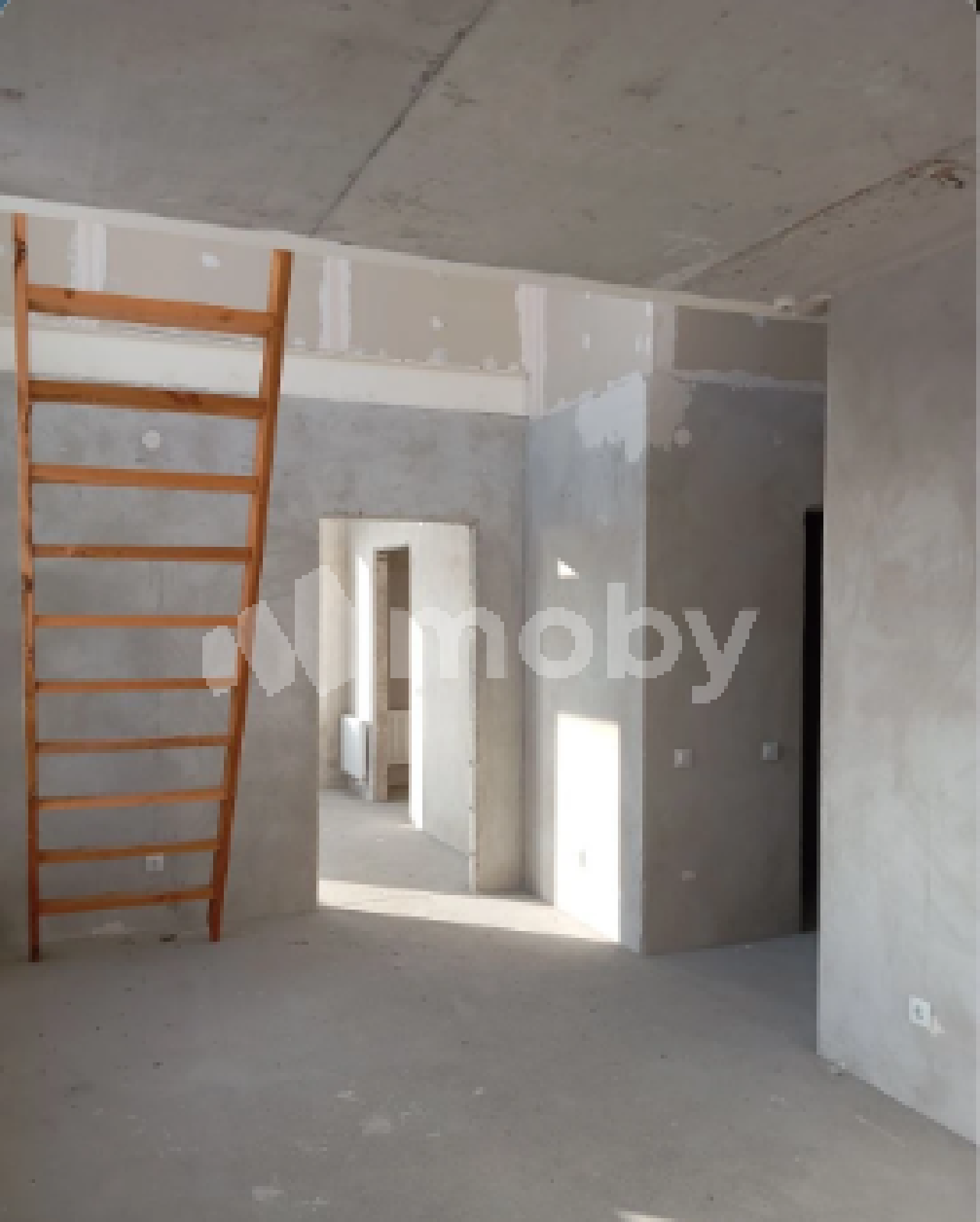 Фото: d0880aaa-ae19-465c-a422-4462ee937cb1.png