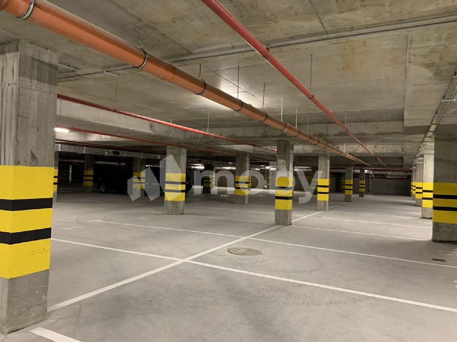 Фото: d0d0ce7e-8acb-4b63-8e21-e2e92977f923.jpg