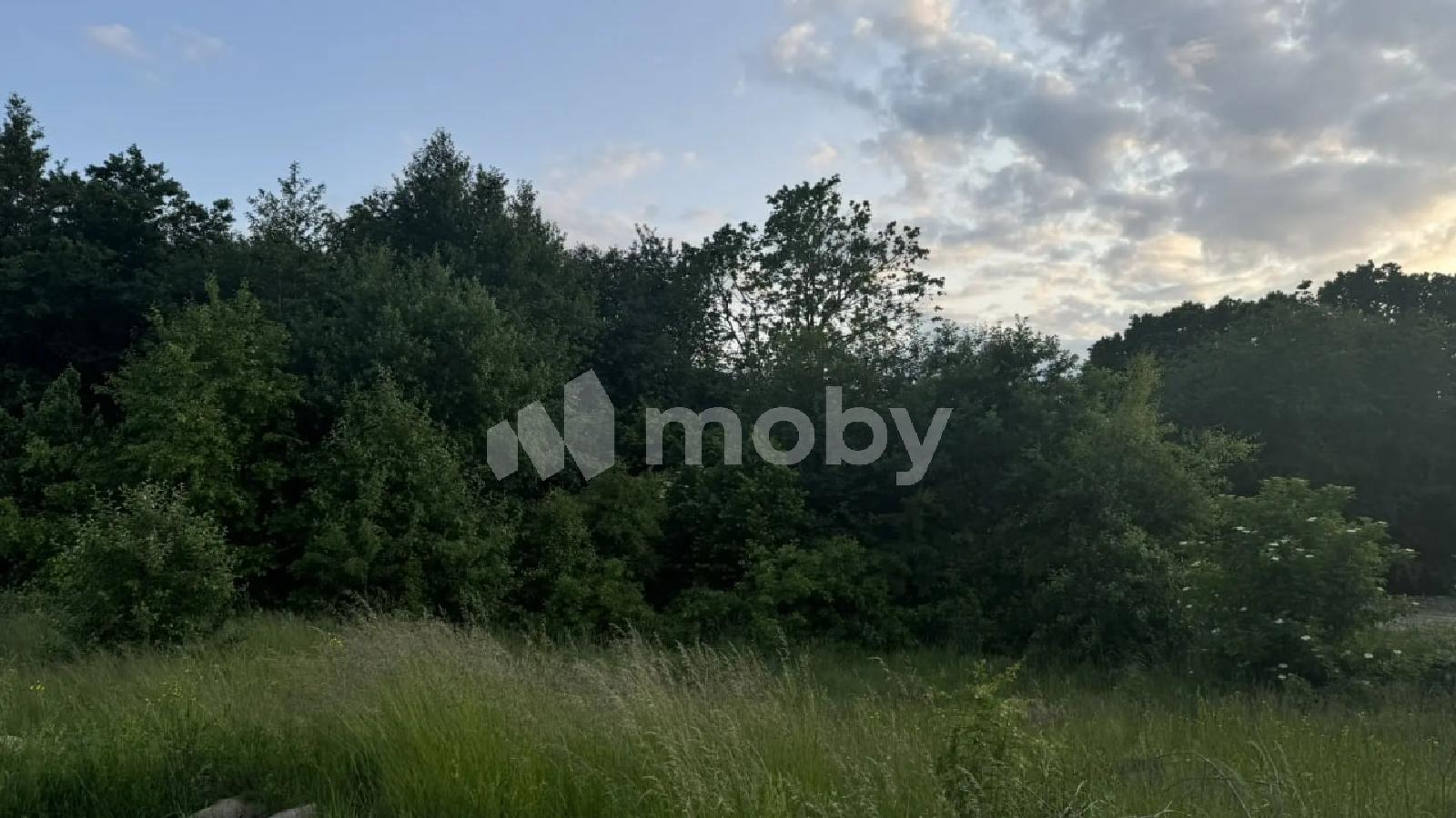 Фото: d1841671-0edc-4272-9ab9-771dfa4a299c.jpg