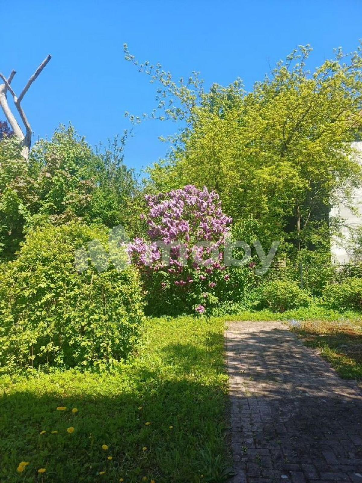 Фото: d1ca01e3-6a95-4404-8b56-3148832f2c8c.jpg