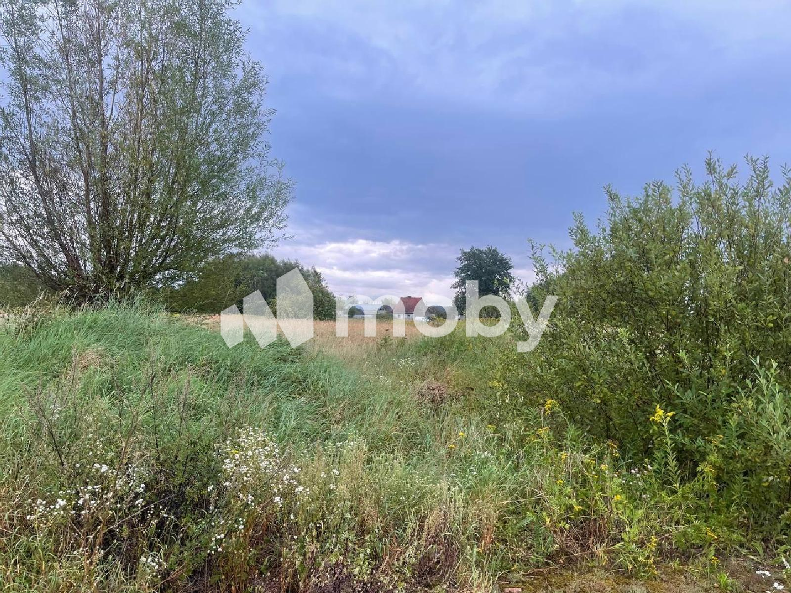 Фото: d2268364-cf02-4920-9380-e9414849b56a.png