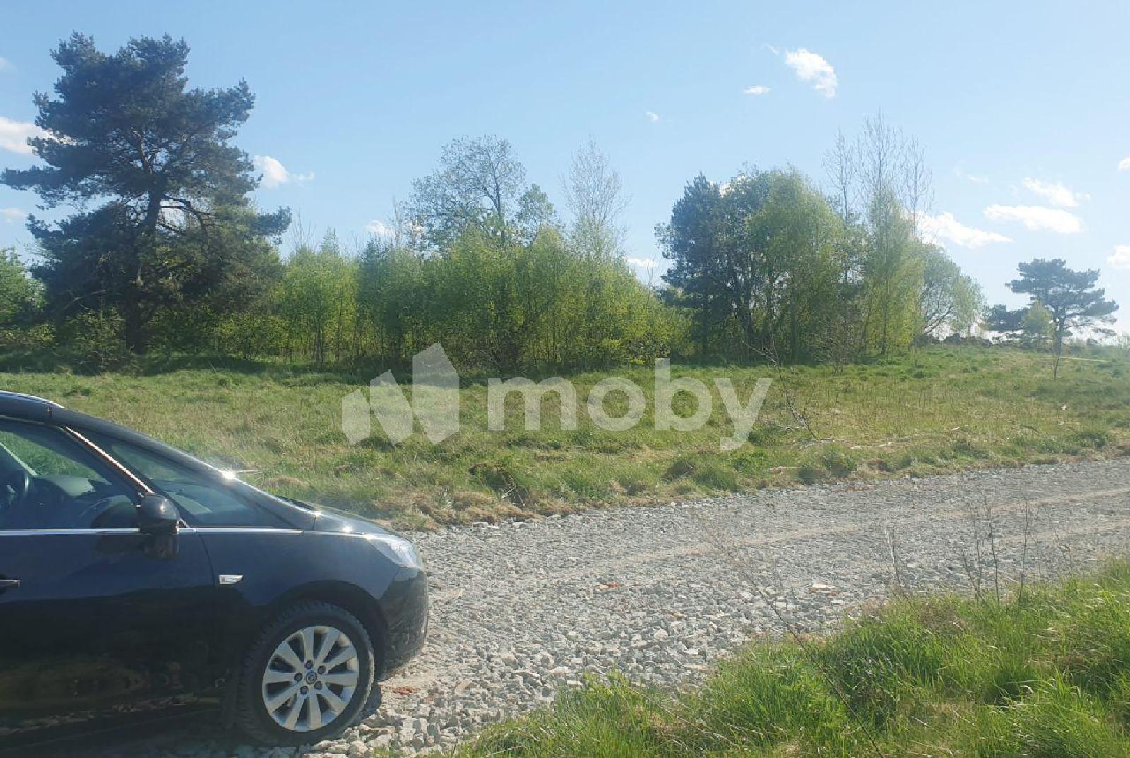 Фото: d231fda4-1755-4bff-baed-1b8760a07776.jpg