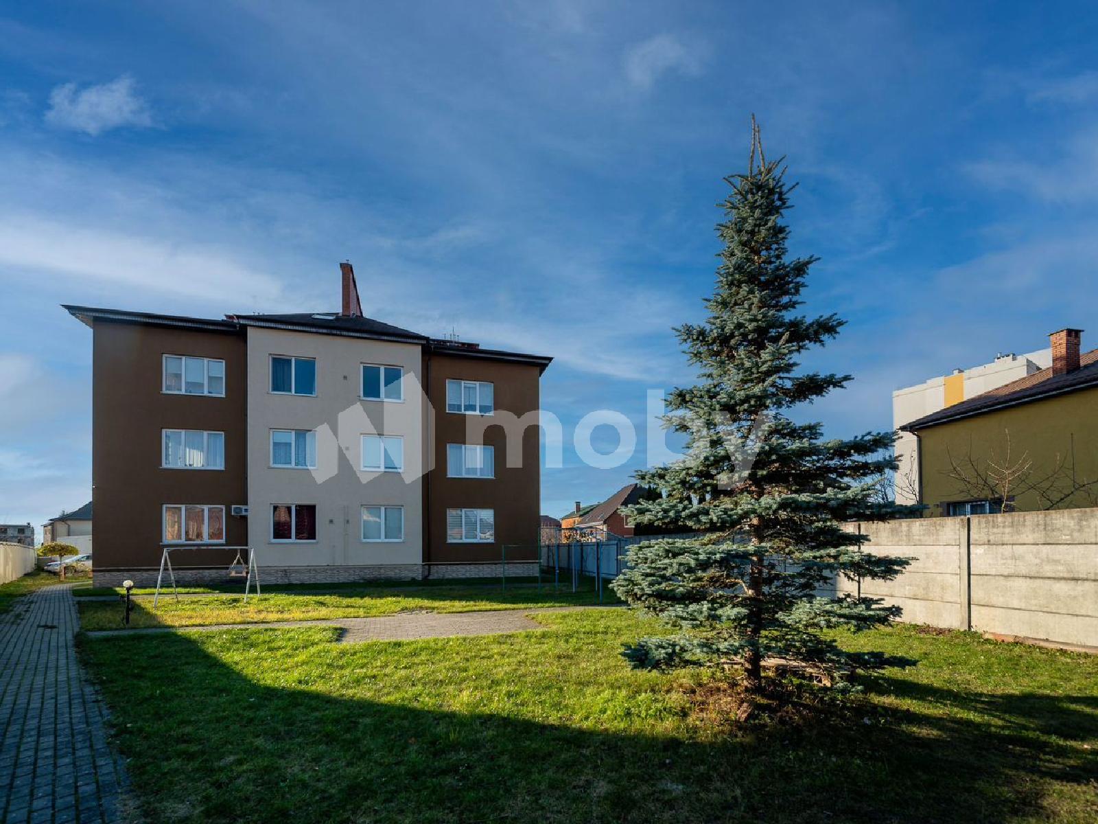 Фото: d26eaa4a-e650-4128-b2d3-ee872483cc5d.jpg