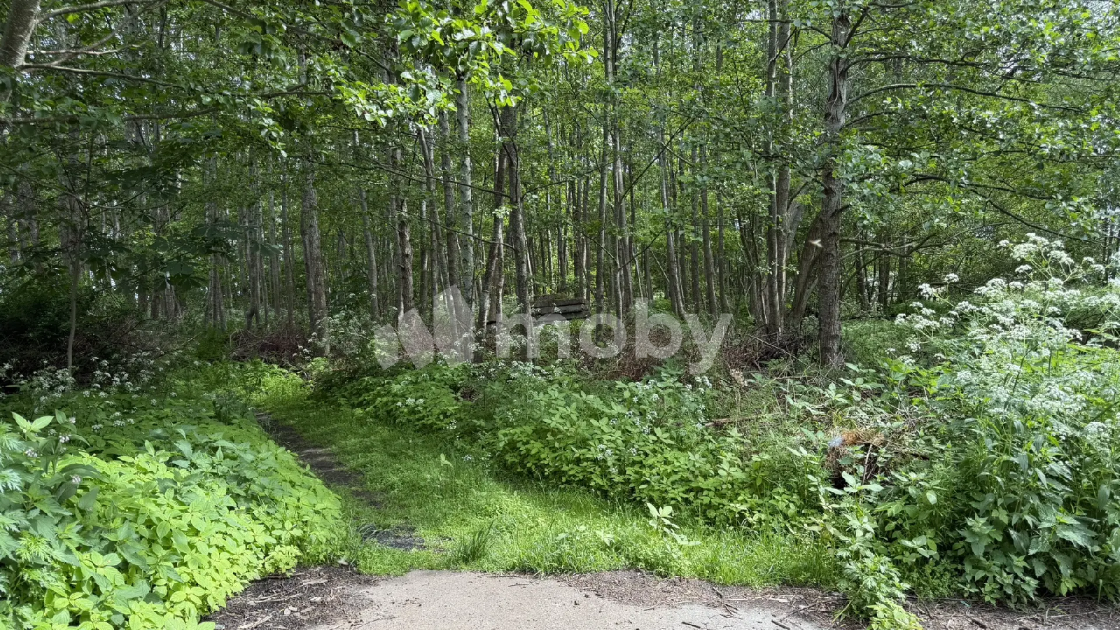 Фото: d27295ad-2d6b-47c5-a0d6-99d5e6d3f140.png