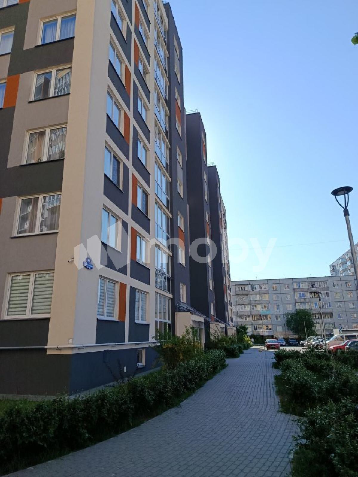 Фото: d3441ac0-4e59-458b-bab4-62df4426d49b.jpg
