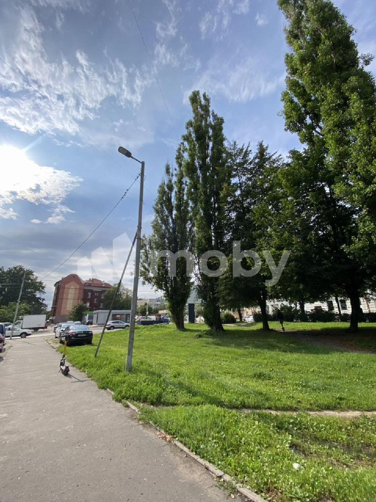 Фото: d35a45d2-7bb5-4e71-a2b6-7e1b45e63b58.jpg