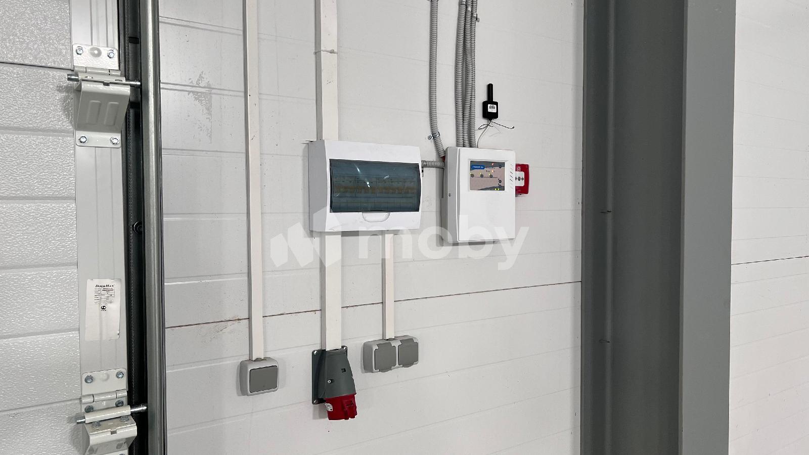 Фото: d39a2084-2c95-4637-98eb-9a4d2a88fa66.jpeg