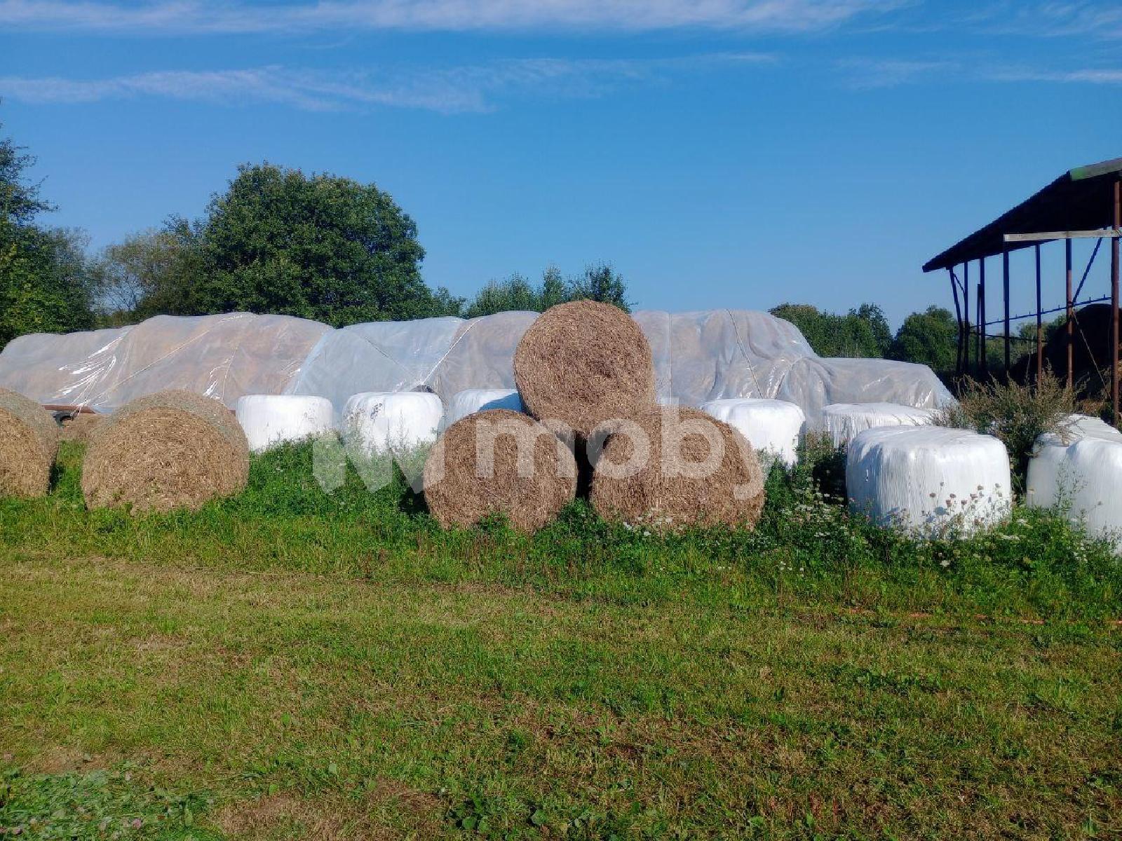 Фото: d3a2c5d2-5e59-4319-a9a7-ade111b46d87.jpg