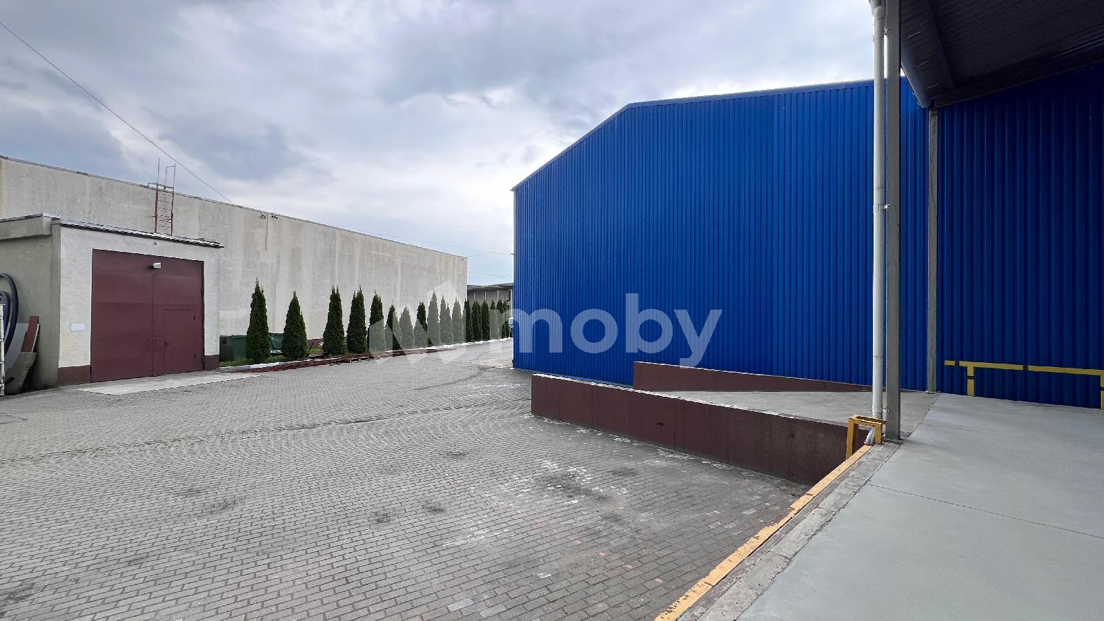 Фото: d3aadd7e-255c-476f-932a-265765e61bd3.jpeg