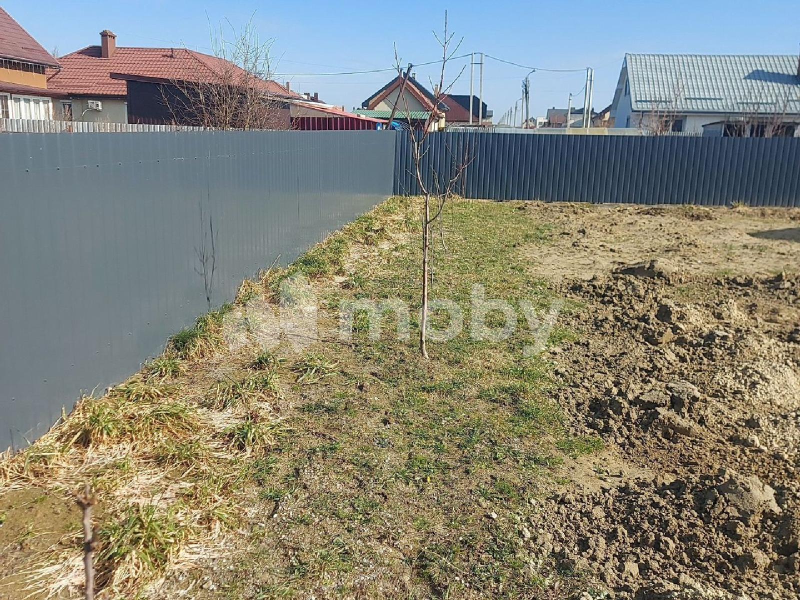 Фото: d4a865bd-079e-4f3b-8a55-6129ec56c646.jpg