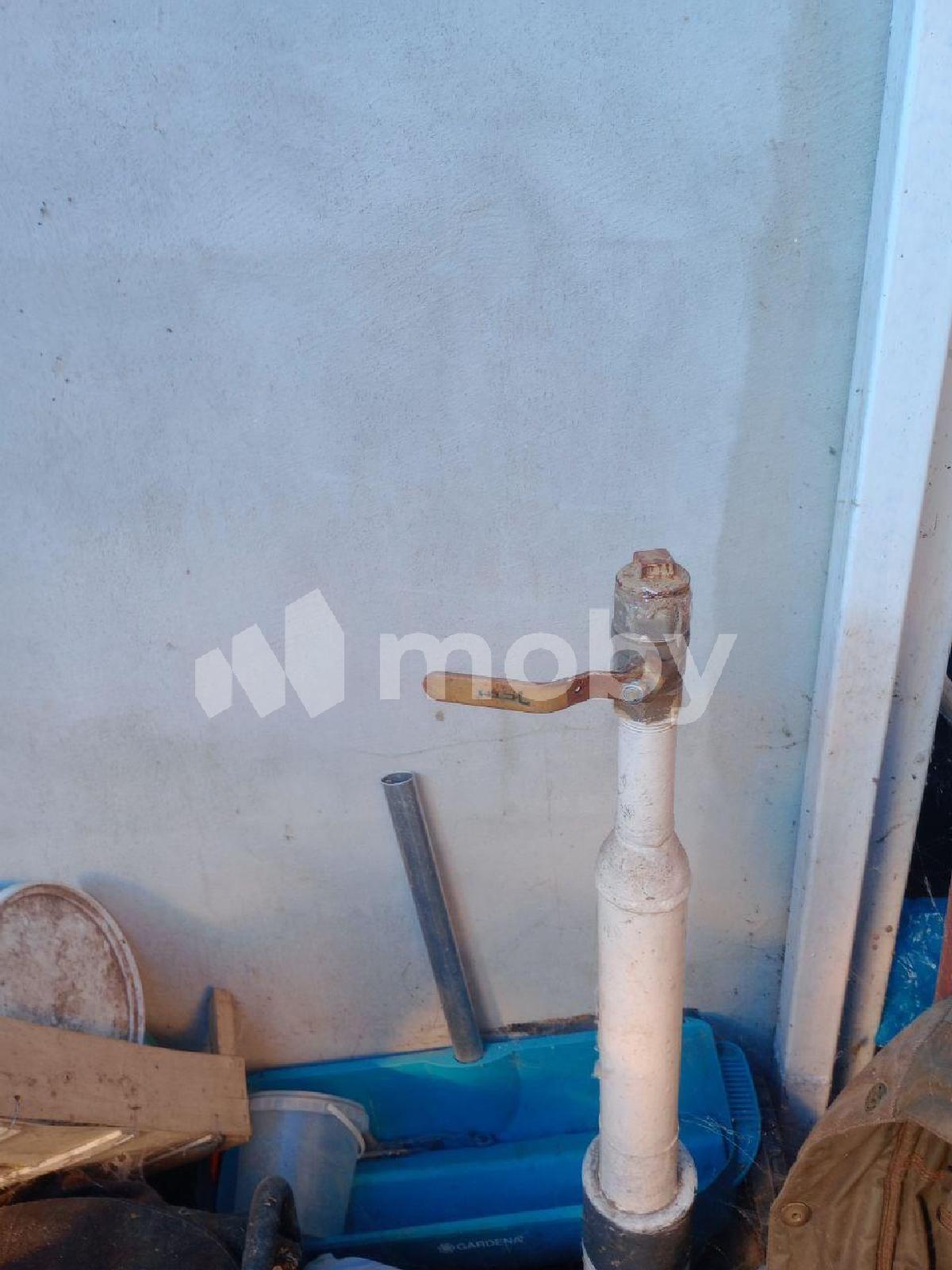 Фото: d4e97ef3-5662-4b5d-aa27-7c4a0218ae72.jpg