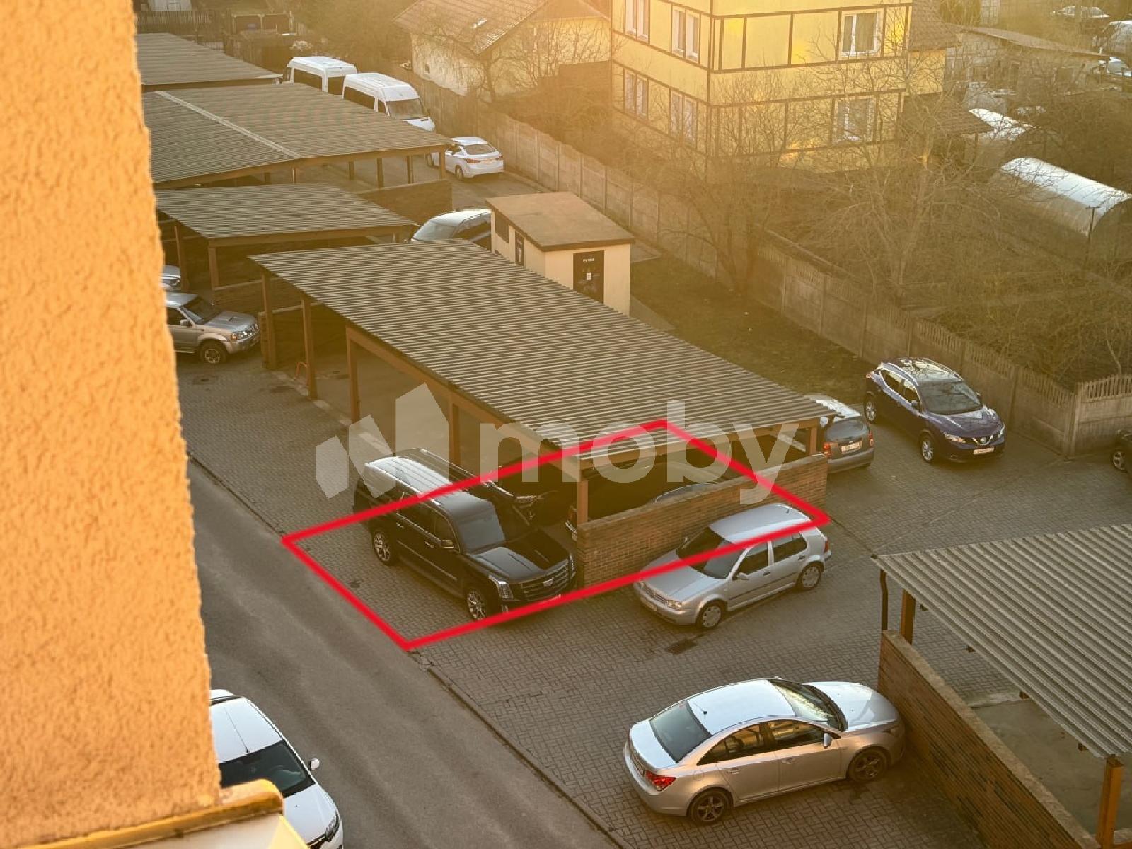 Фото: d5c100f7-7e88-46a4-9e48-a2d7ff89d15b.jpg