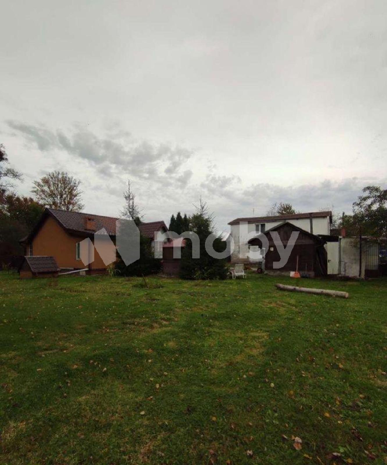 Фото: d69b122e-b99d-45c2-89e8-c1573009e697.jpg