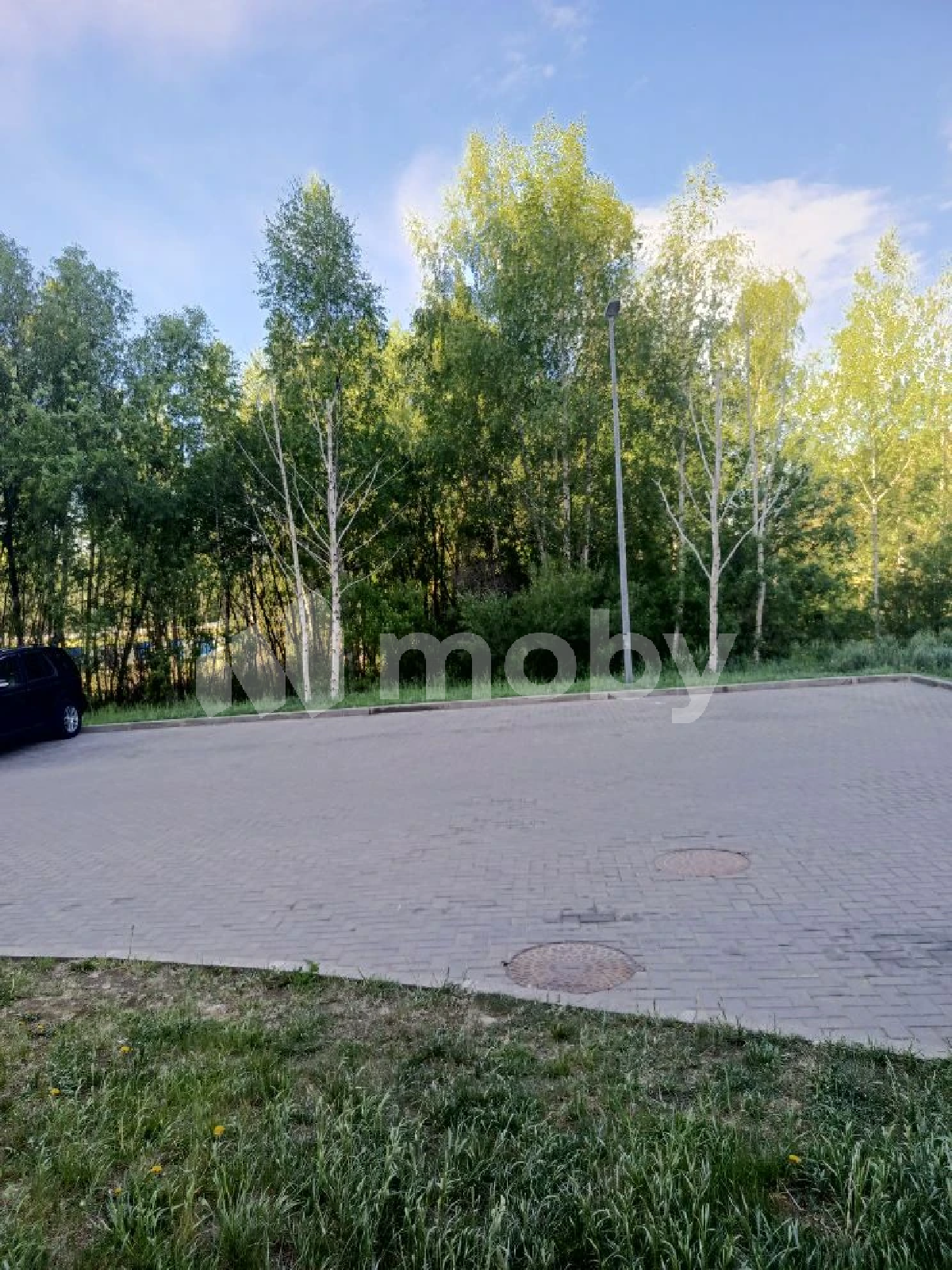 Фото: d6cf4265-a911-4179-a7cb-8592e6ed6cc7.png
