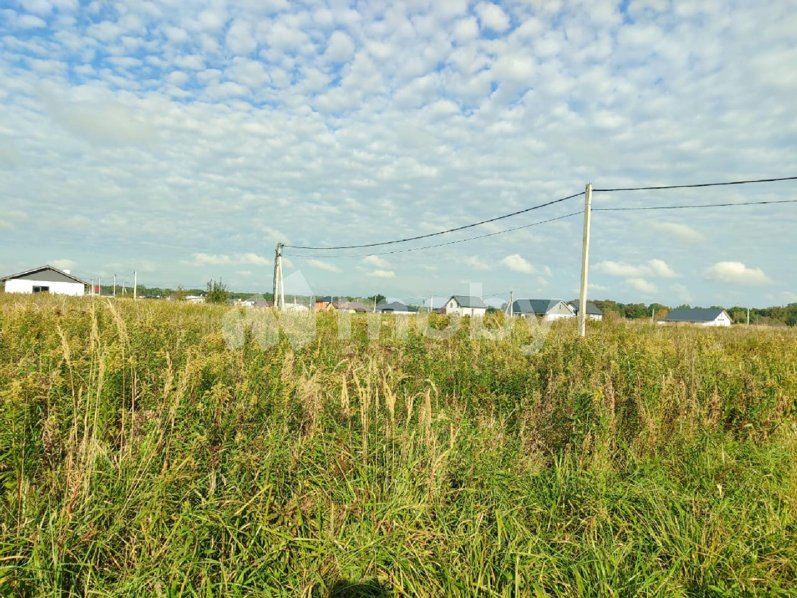 Фото: d6d862c1-7774-482d-8edc-d7ac89c9c269.jpeg