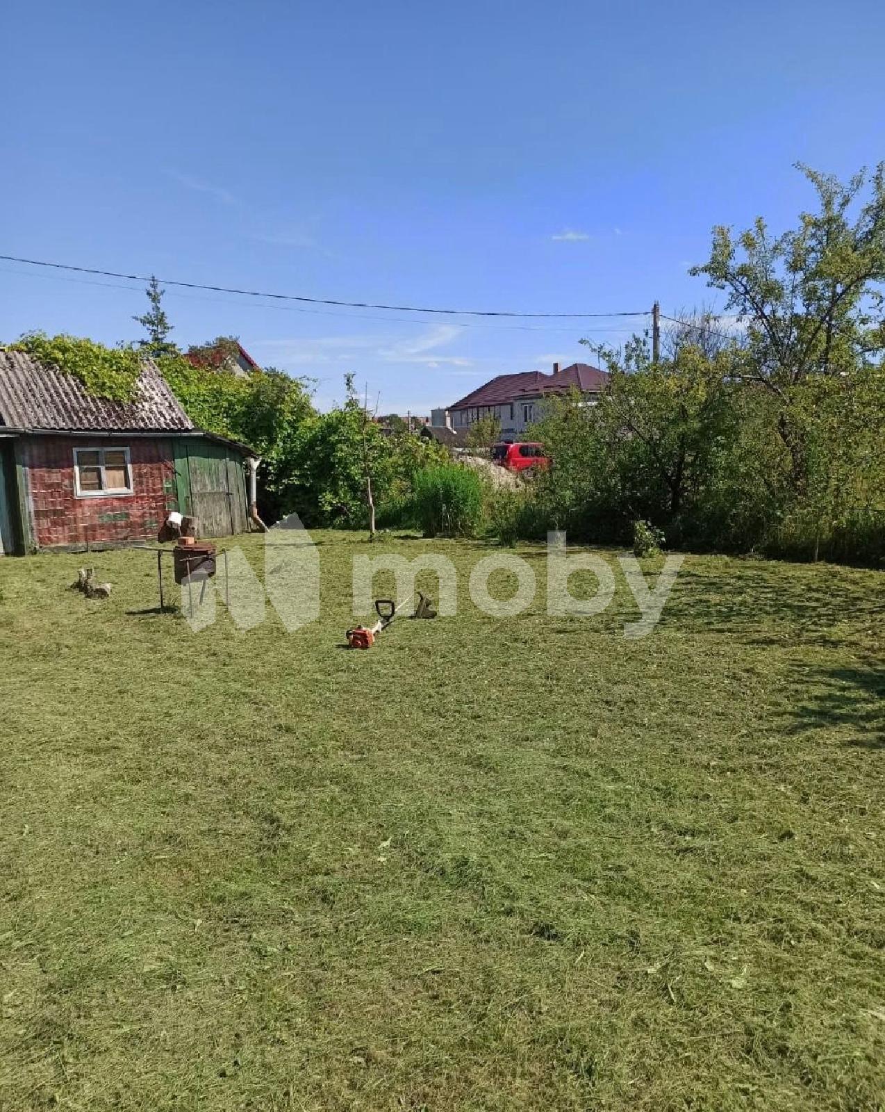 Фото: d7d73b37-1ad8-4233-a6fe-951c0fad0898.jpg