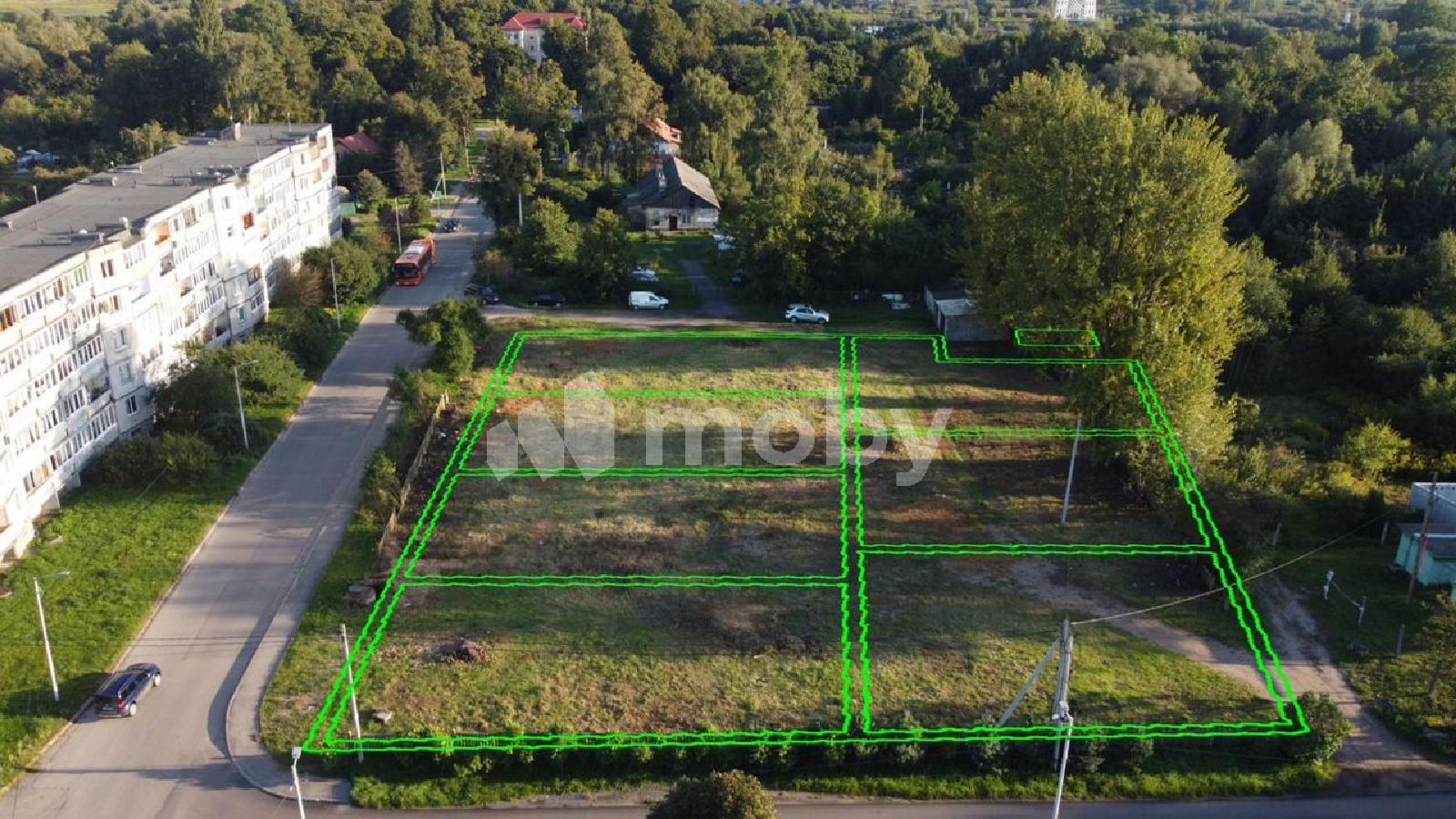 Фото: d866d269-3cbd-487f-b365-ae429dd45dde.jpg