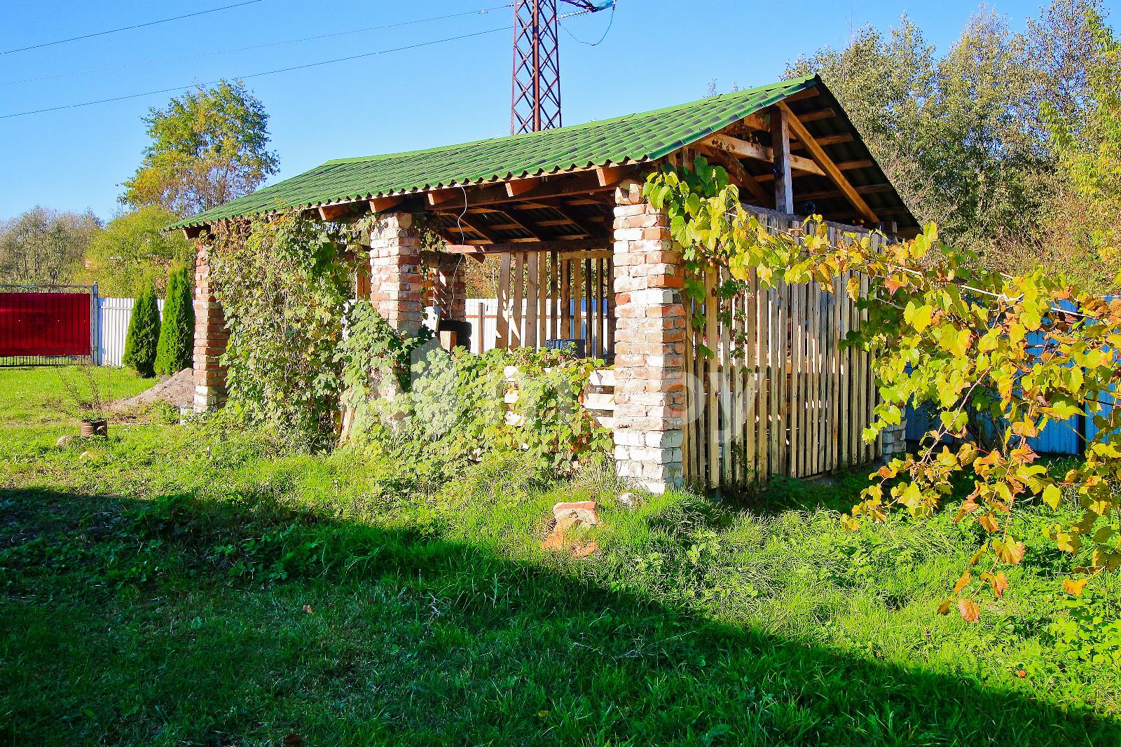 Фото: d9344fb3-c548-4ff0-84fd-4499498a73cc.JPG