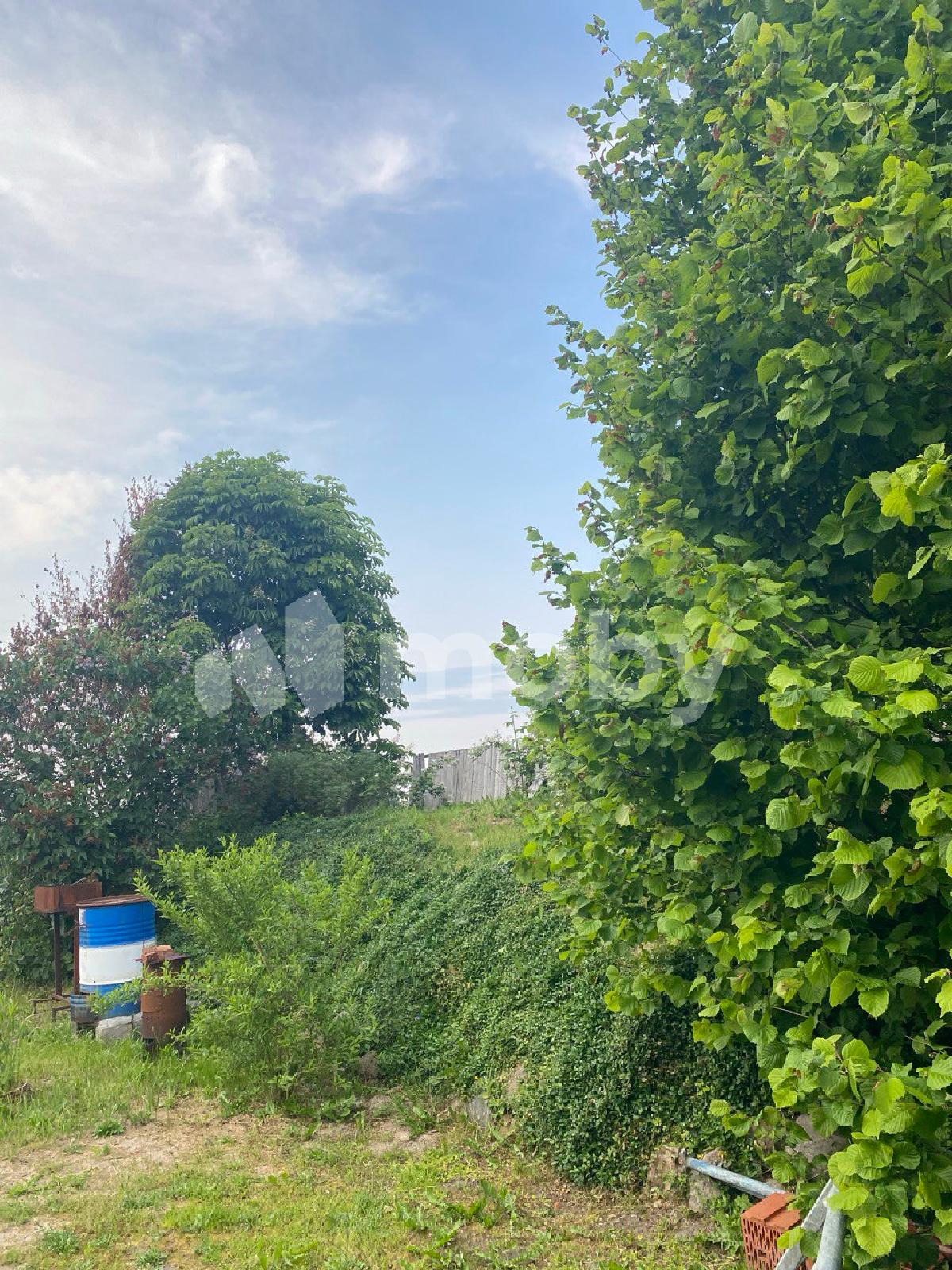 Фото: d9cbb02a-3df2-450d-9ffb-6555dac39424.jpg