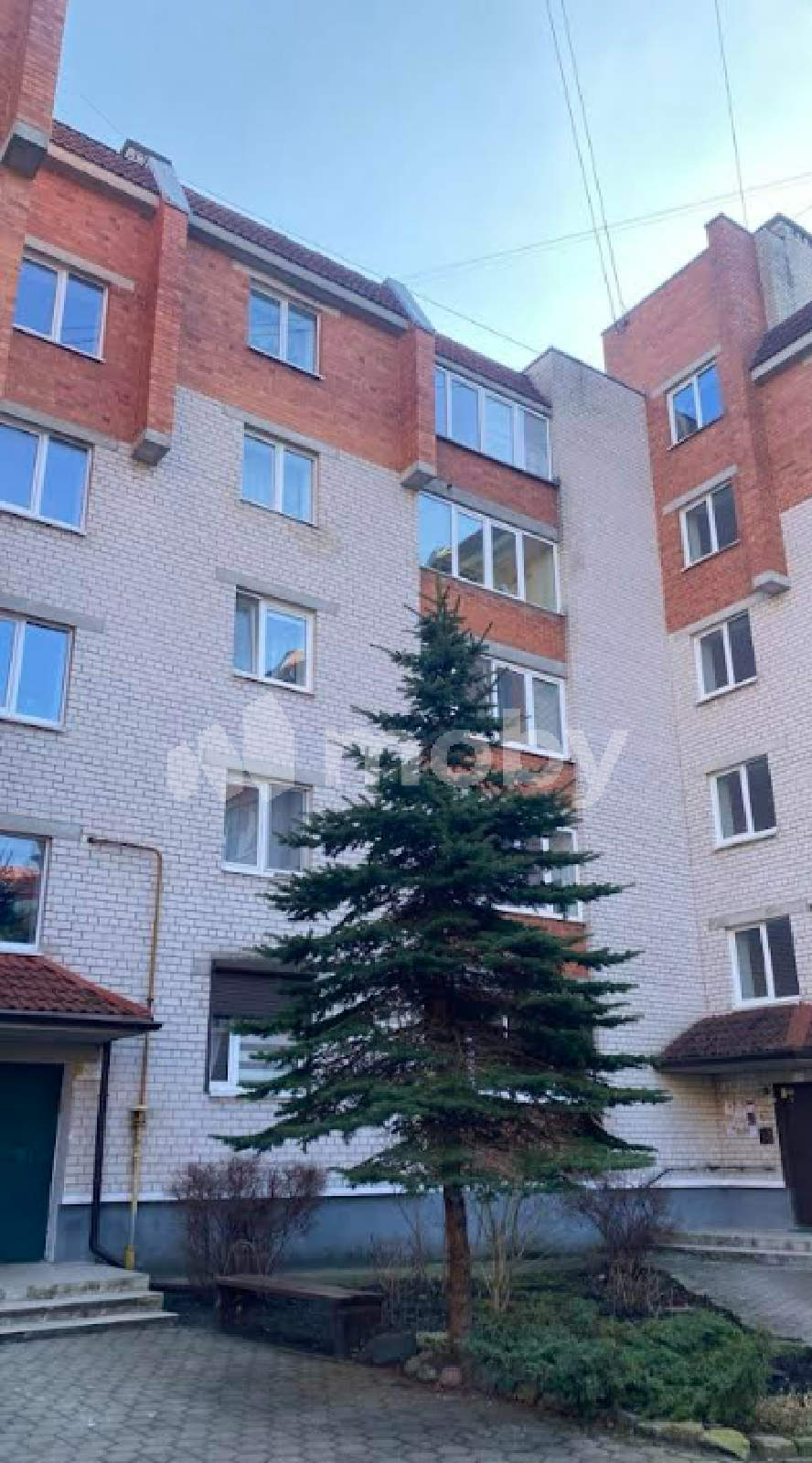 Фото: d9f99b10-6b4a-48ef-93e0-e4ad31a73eba.png