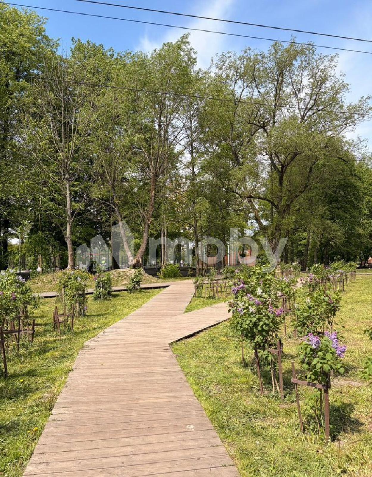 Фото: da033604-47f1-4938-9734-f32c5c231d35.jpg