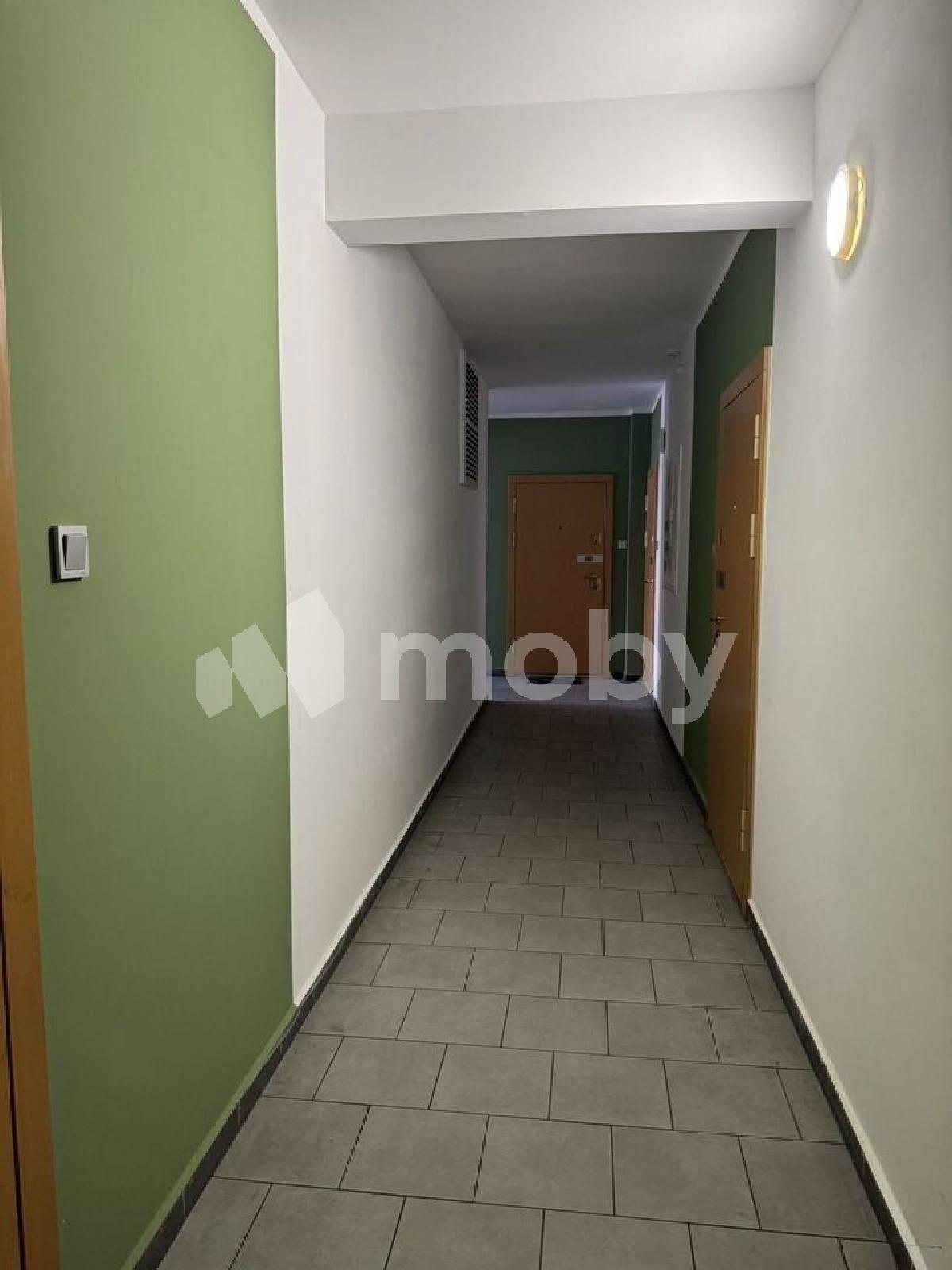 Фото: da949c26-8f40-4518-b4c0-bd3ed581b47e.jpg