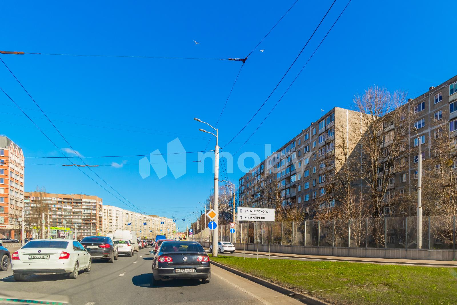 Фото: db325ef0-e957-4a72-b36c-c649b96c0763.jpg