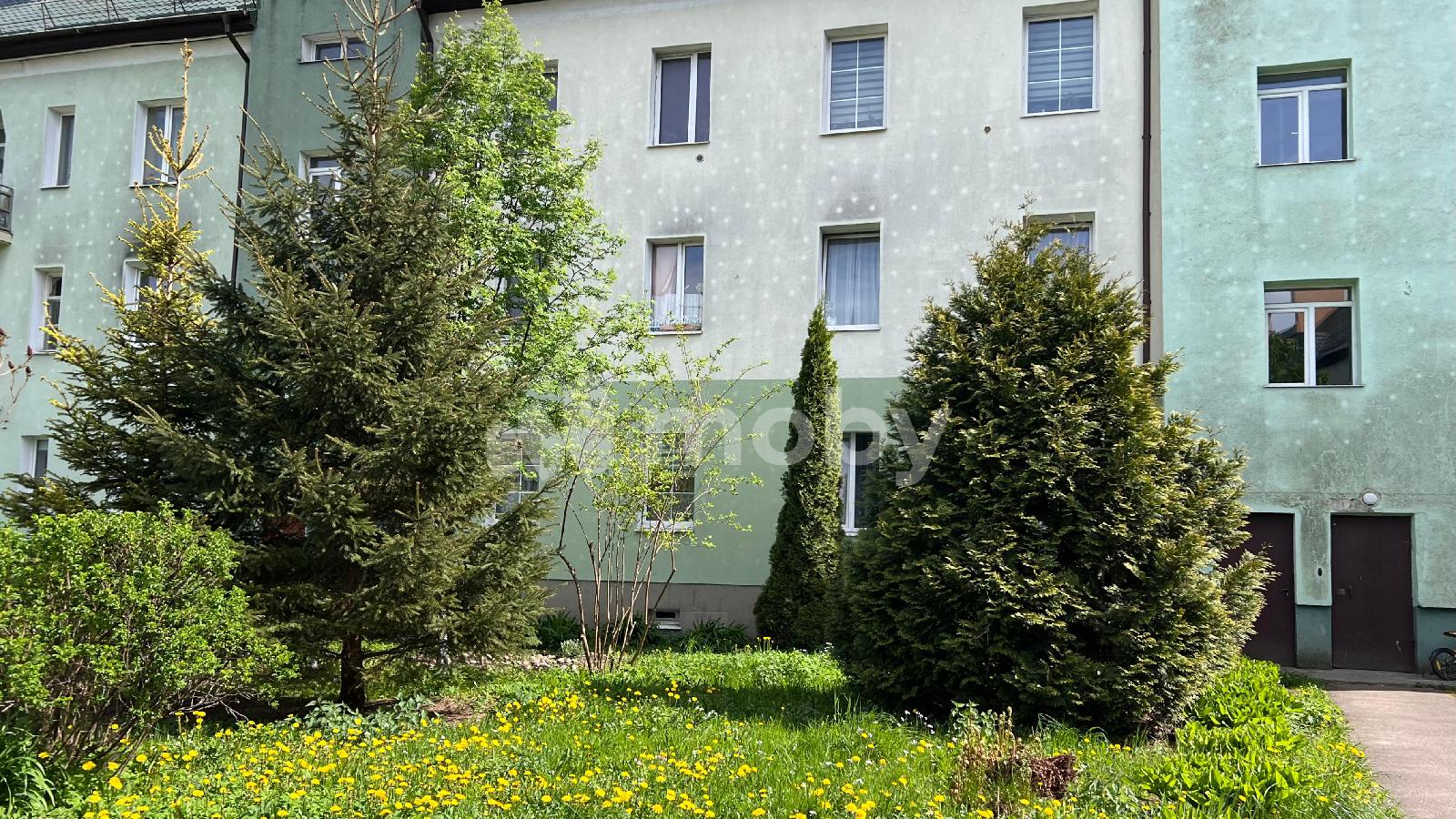 Фото: db5f1897-5752-48e8-a13d-7c14c95db4e9.jpeg
