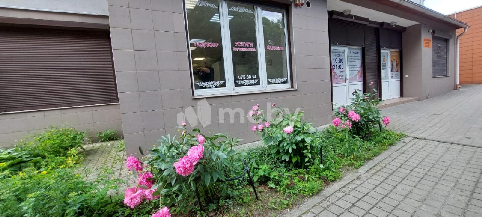 Фото: db62caf2-54bc-4771-bbd6-e2cffe0baa74.jpg