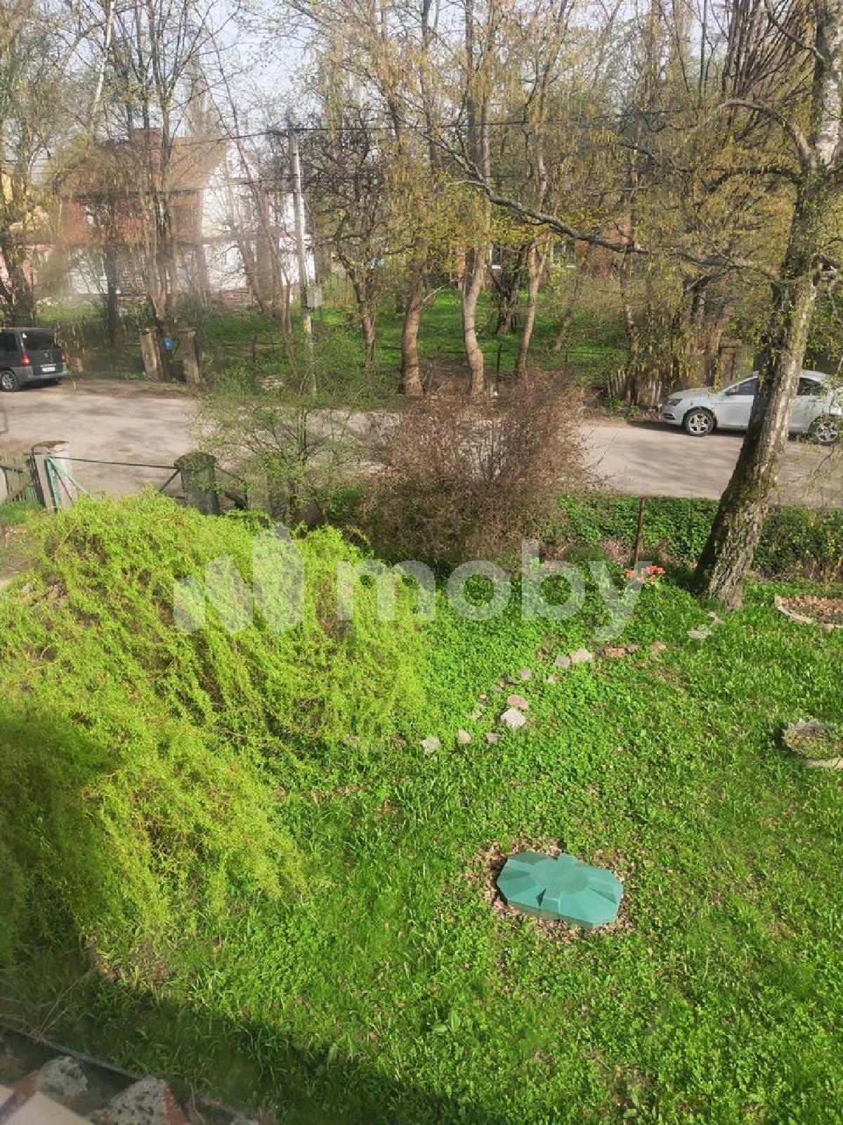 Фото: dc583de5-5483-48b0-8420-c7e37065e032.jpeg