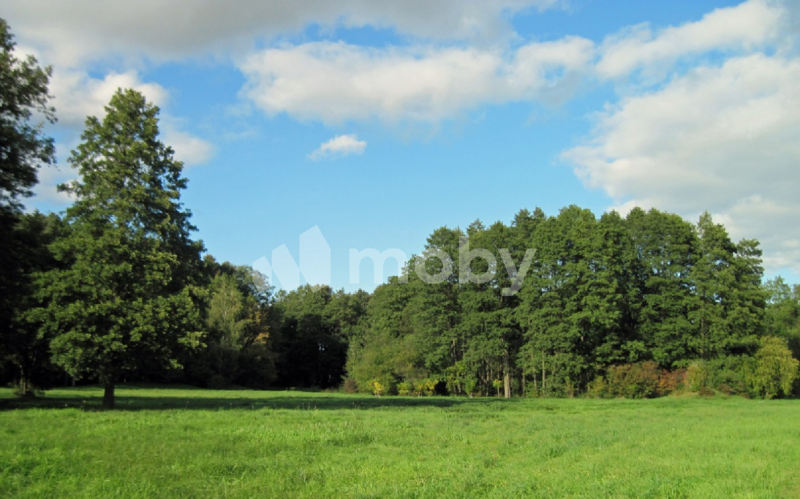 Фото: dc71ee0d-cca1-4b30-8be2-3d7ab64f218b.png