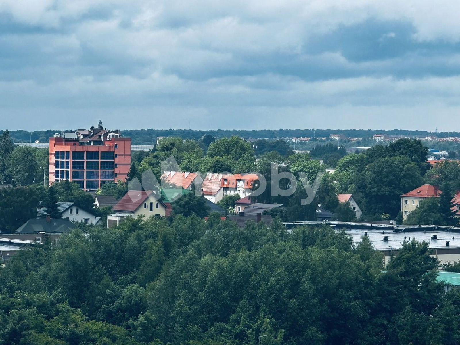 Фото: dd5350e0-5574-4c2b-afb8-63c5adeb2d82.jpg