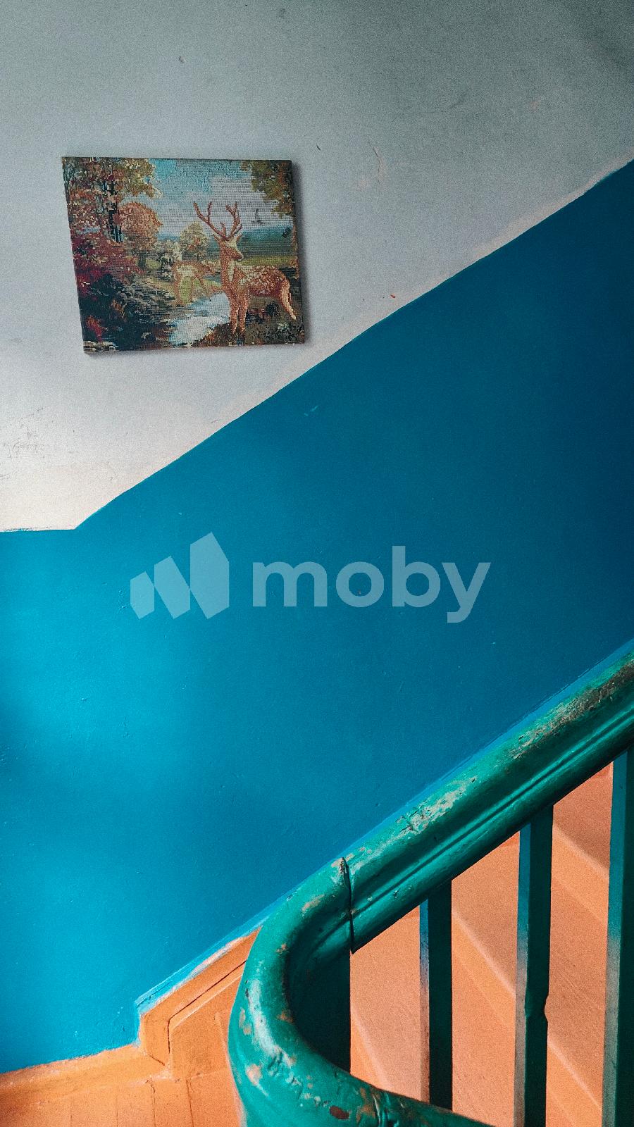 Фото: dd5d3349-41ae-4a0d-8947-af72c79b0d0a.jpg