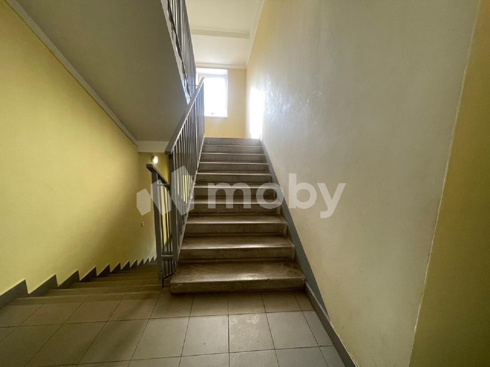 Фото: dd98950b-8caf-4fd4-8365-73dcd33404a1.jpg