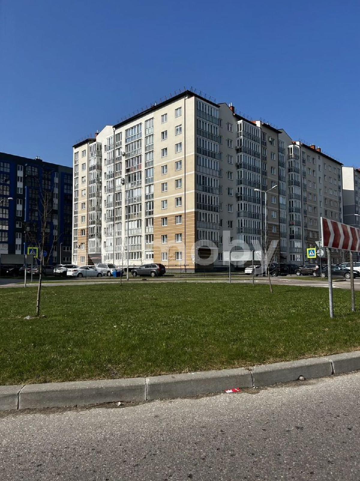 Фото: dda00d5e-dec3-4f18-9969-bbdbe19102d9.jpg
