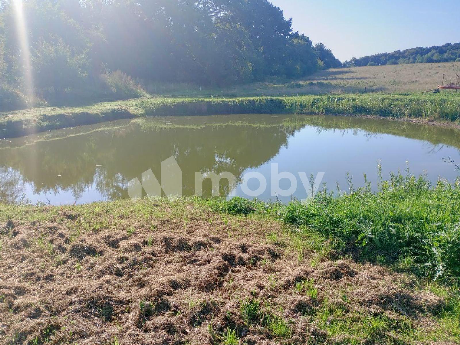 Фото: ddb31cd3-a54b-4e34-90fe-7e6f86787c98.jpg