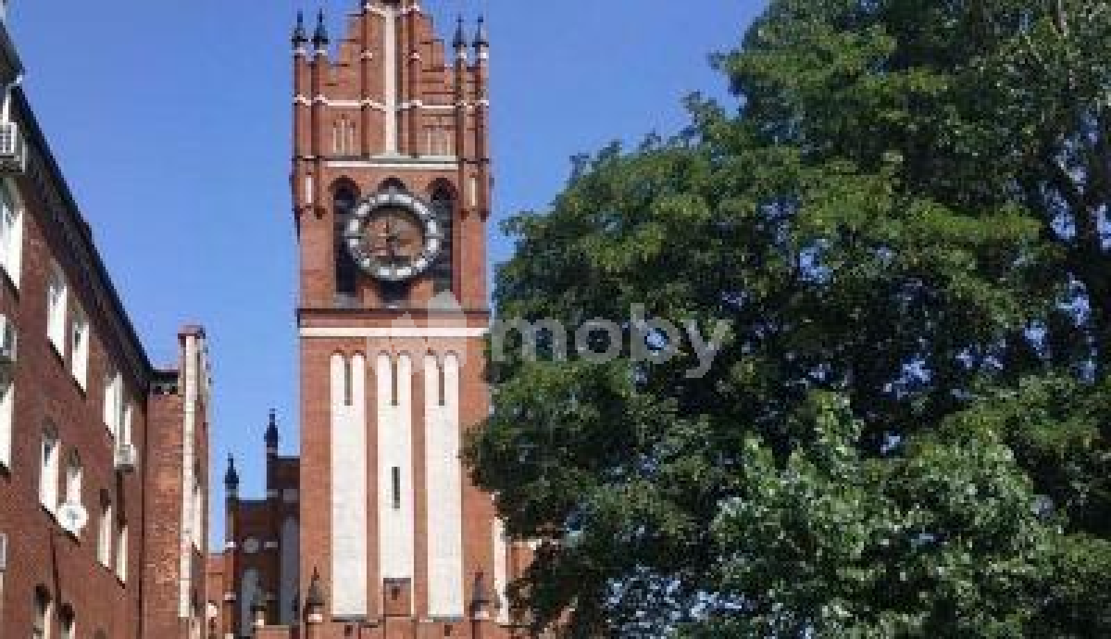 Фото: ddb4d139-9b8e-4641-bad7-abdbb8ce7130.png