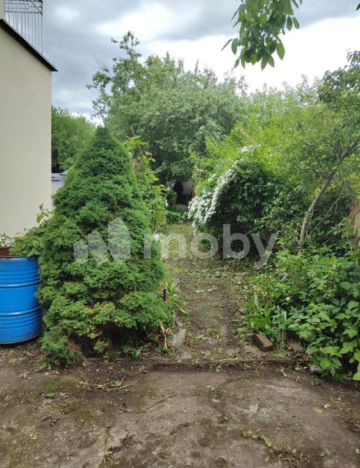Фото: ddd84f41-f965-4f77-9330-b7d5b7c5bc22.jpg