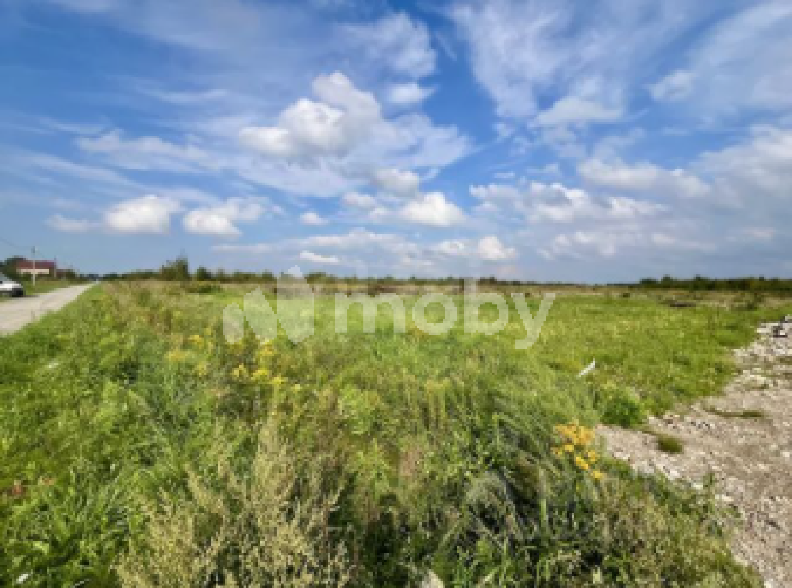 Фото: de36c424-caac-4069-ac87-9abcb7149e2f.png