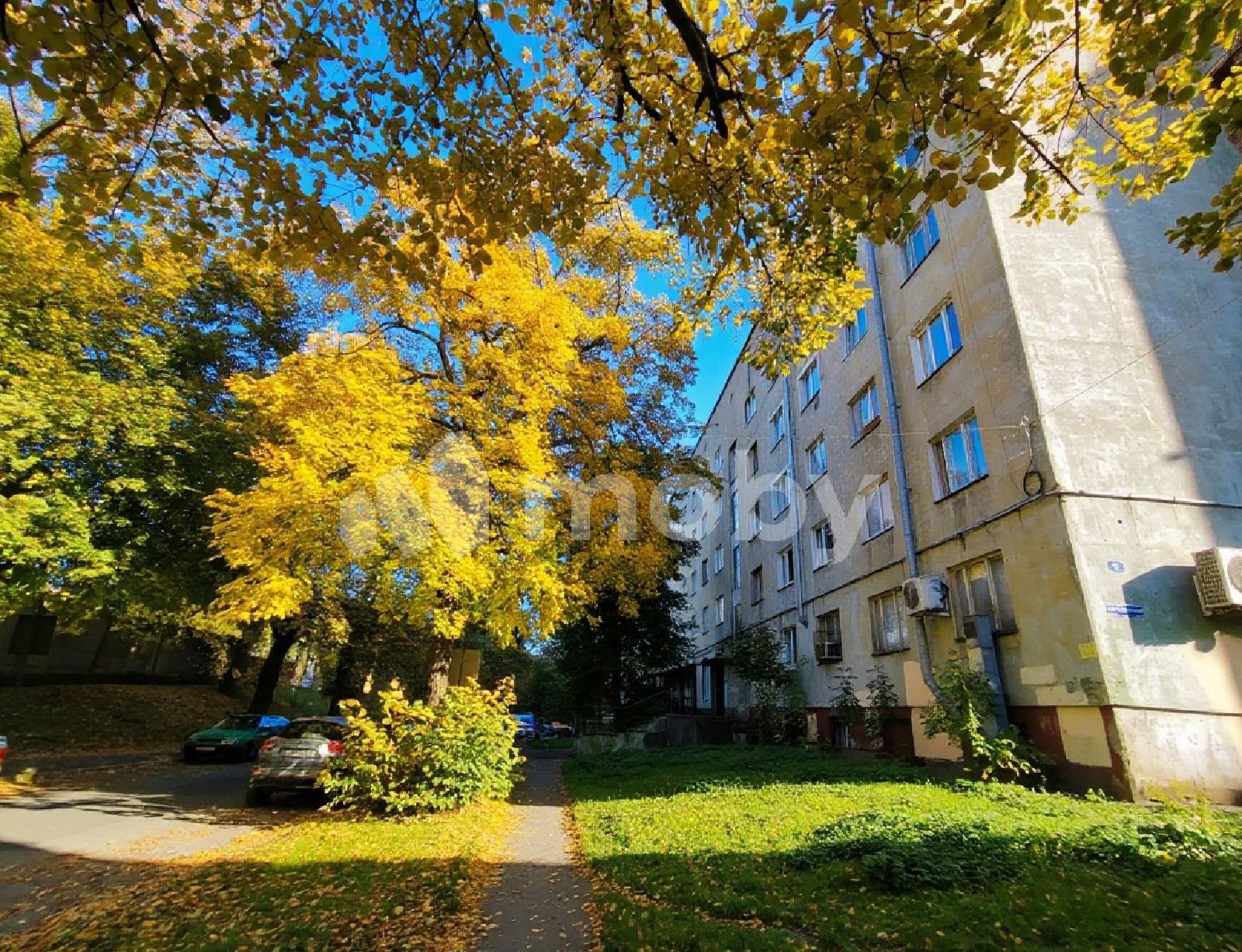 Фото: de54ca48-e741-49a5-afbc-8bed534a0789.jpeg