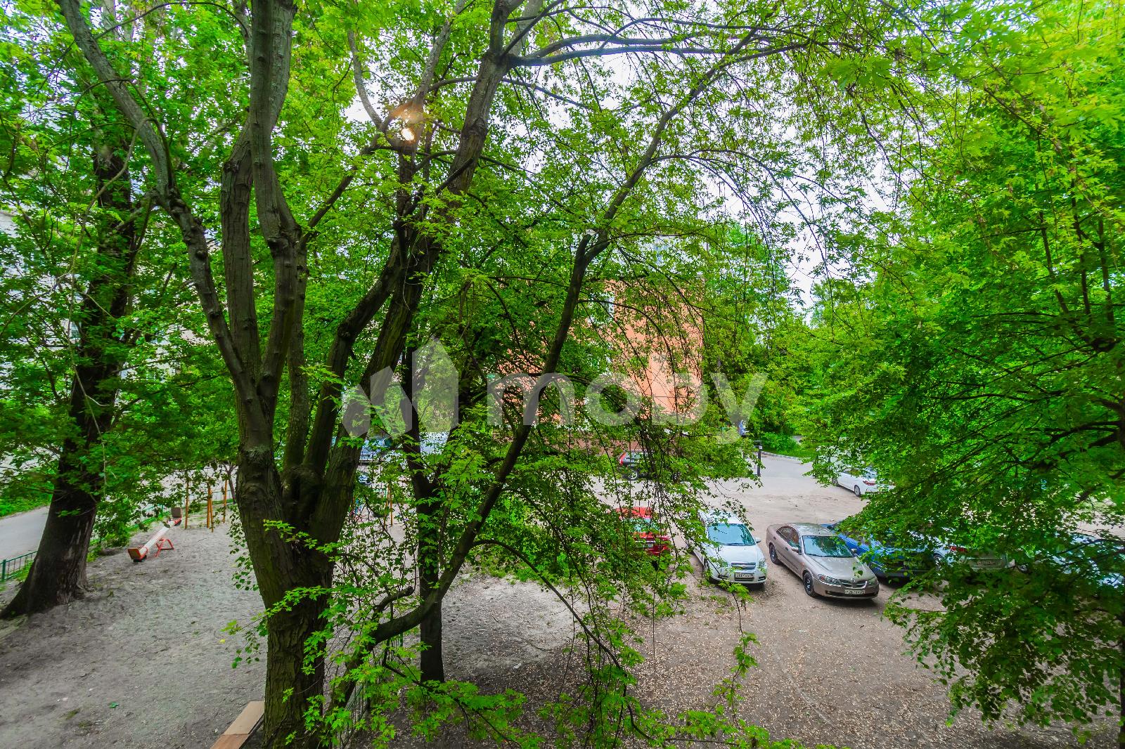 Фото: e191bda7-008e-42a6-a1f9-f42c2a2589a0.jpg