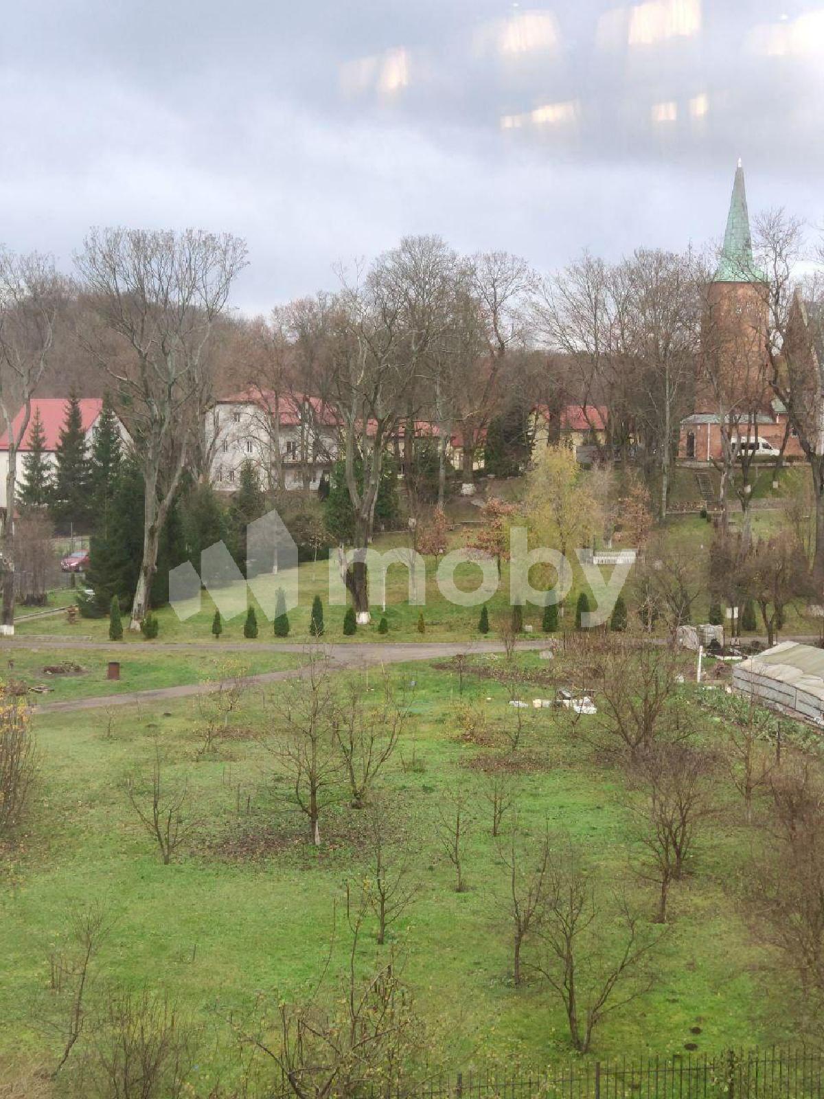 Фото: e1968e14-66de-4c96-9f1e-f1b21d638f2d.jpg