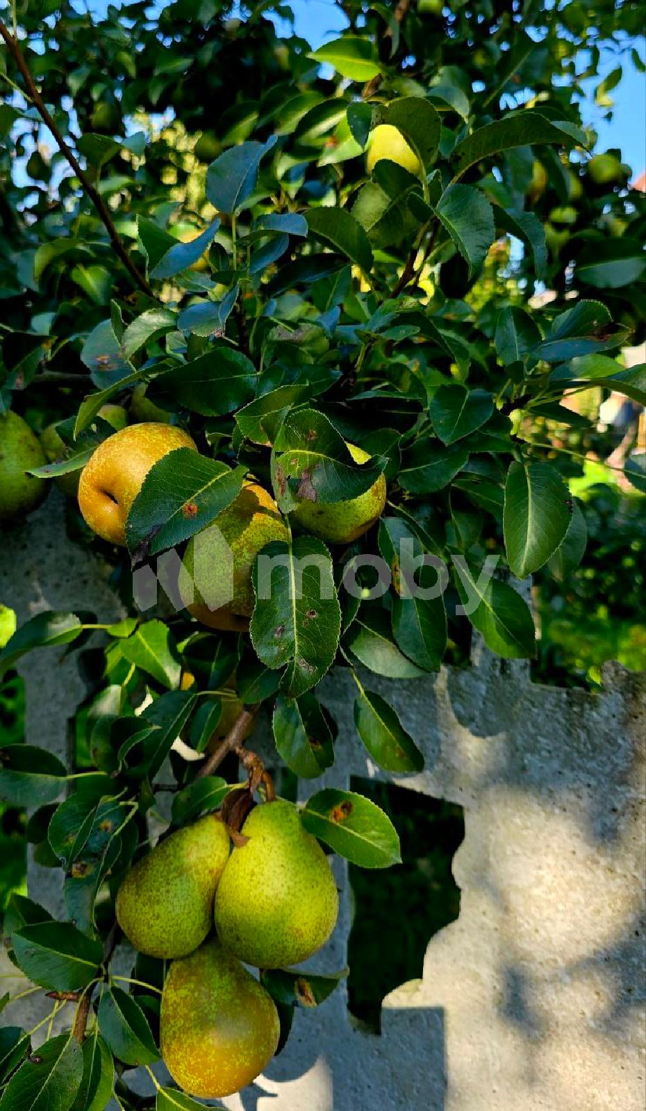 Фото: e3cba940-e049-4461-bede-8a349d49b204.jpg