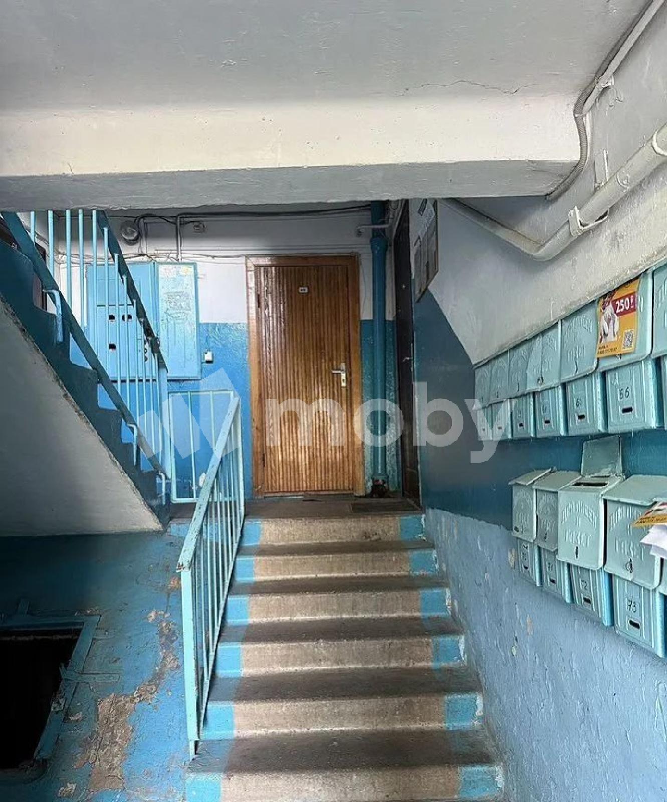 Фото: e4654696-fd75-452e-b81a-c5c31fd02c5a.jpg