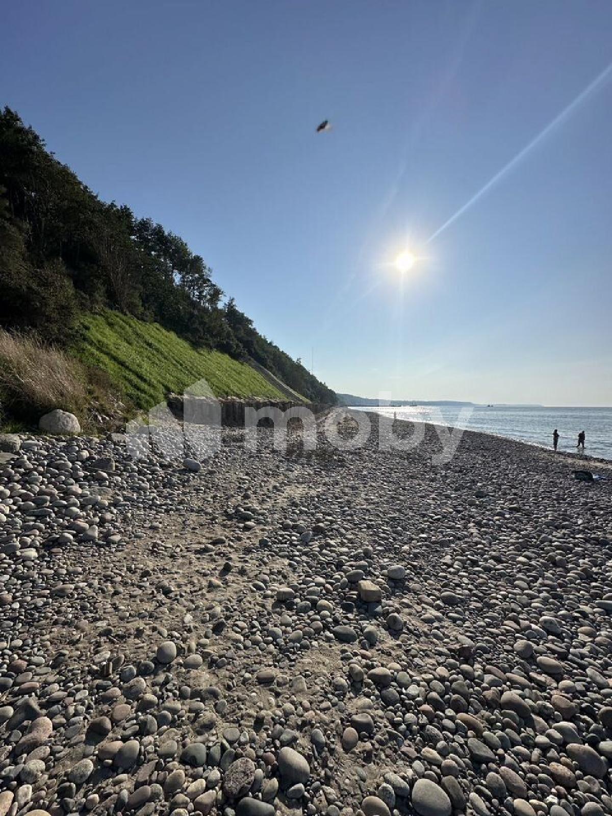 Фото: e48ef943-ef2a-4ea4-8260-38a1c03f10b1.jpg