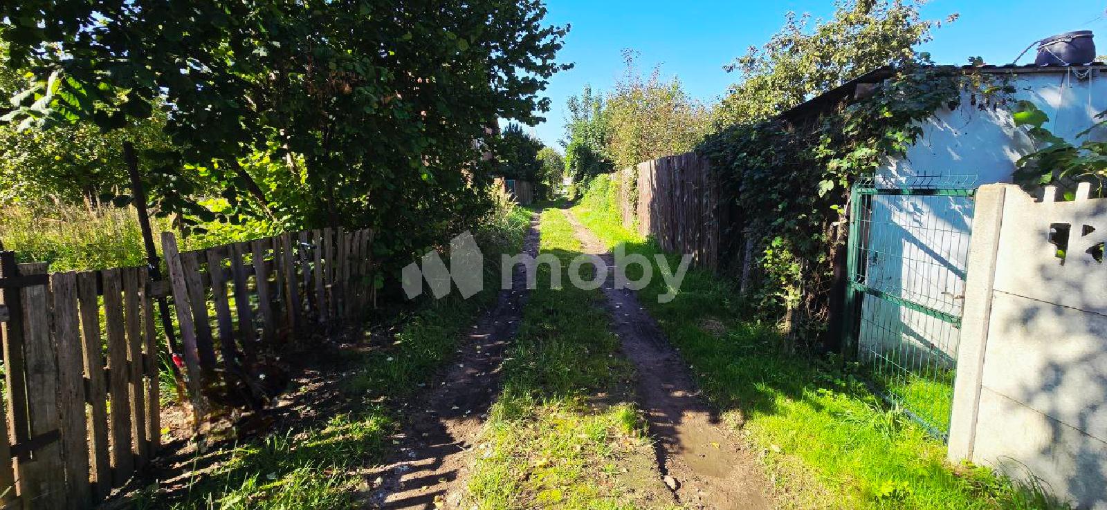 Фото: e48faf45-6c65-4256-bf3e-d7936232a41e.jpg