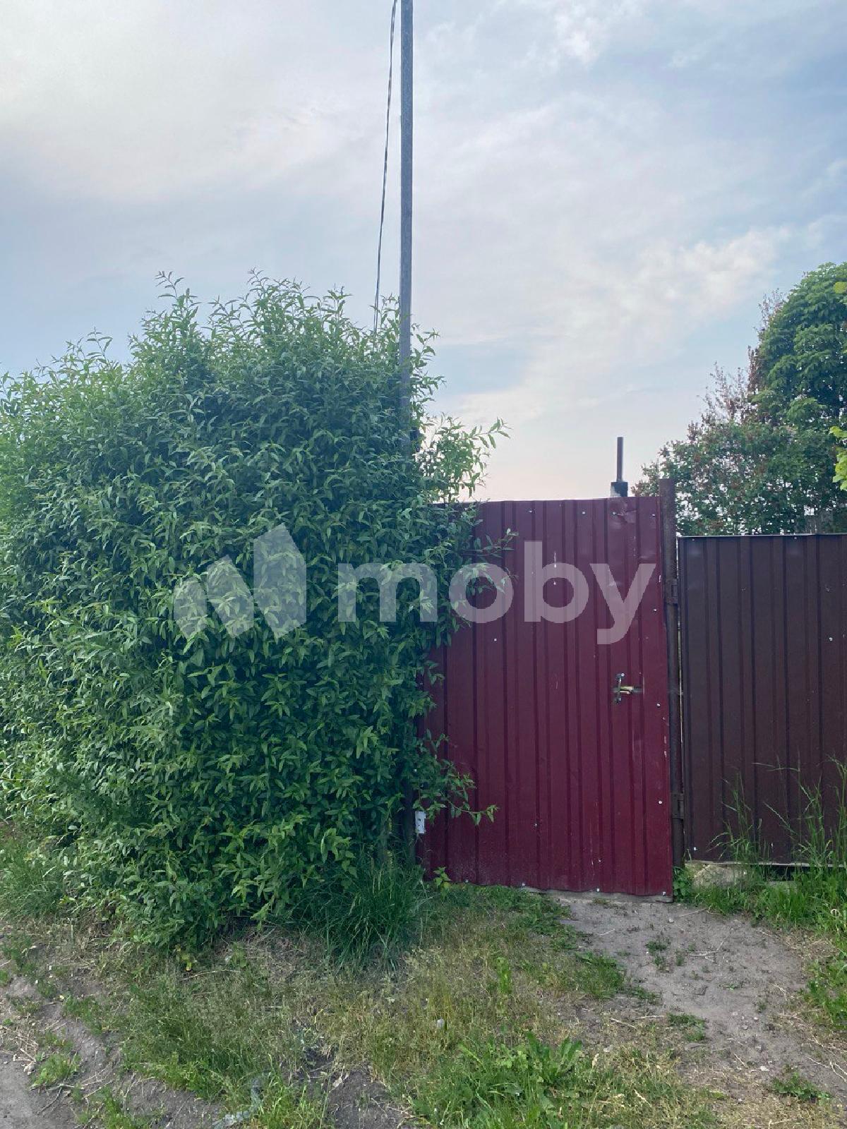 Фото: e60f2b1b-5f84-4e57-91db-431d3f1bb25b.jpg