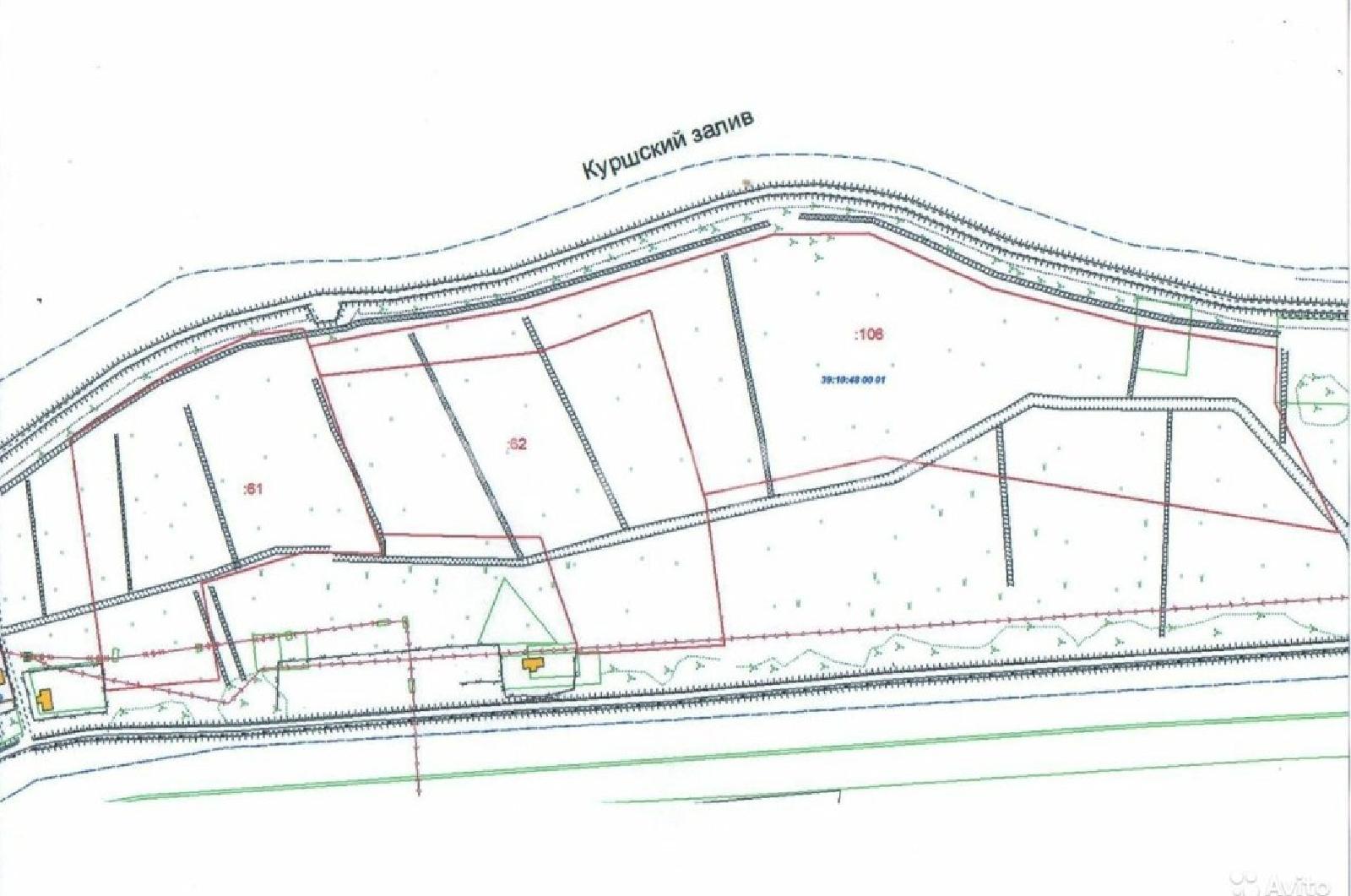 Фото: e61a29f4-ca3d-4bac-8e2b-2a5336cc0952.jpg