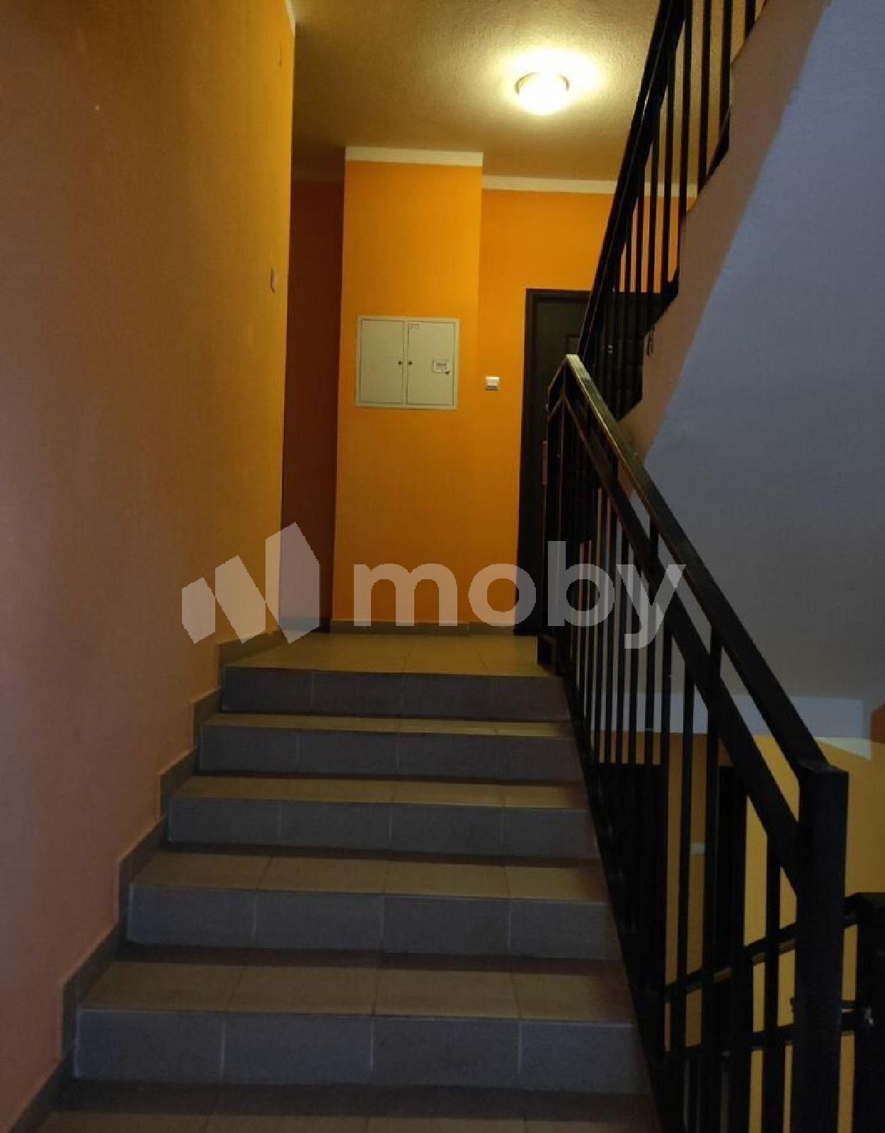 Фото: e6262cac-68a6-495a-871c-dd0c1ca3eaf7.jpg