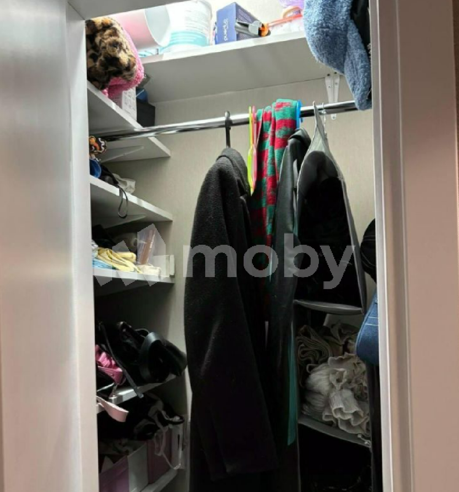 Фото: e6ffb38a-d600-4e38-8ac7-97cf325da69c.png